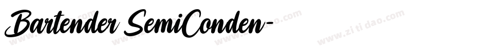 Bartender SemiConden字体转换